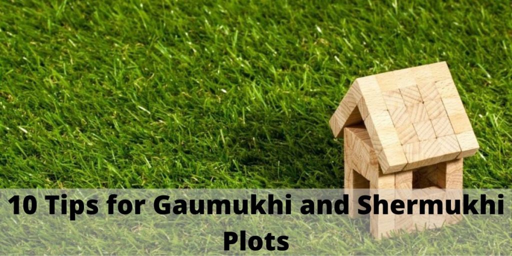 10 Tips for Gaumukhi and Shermukhi Plots